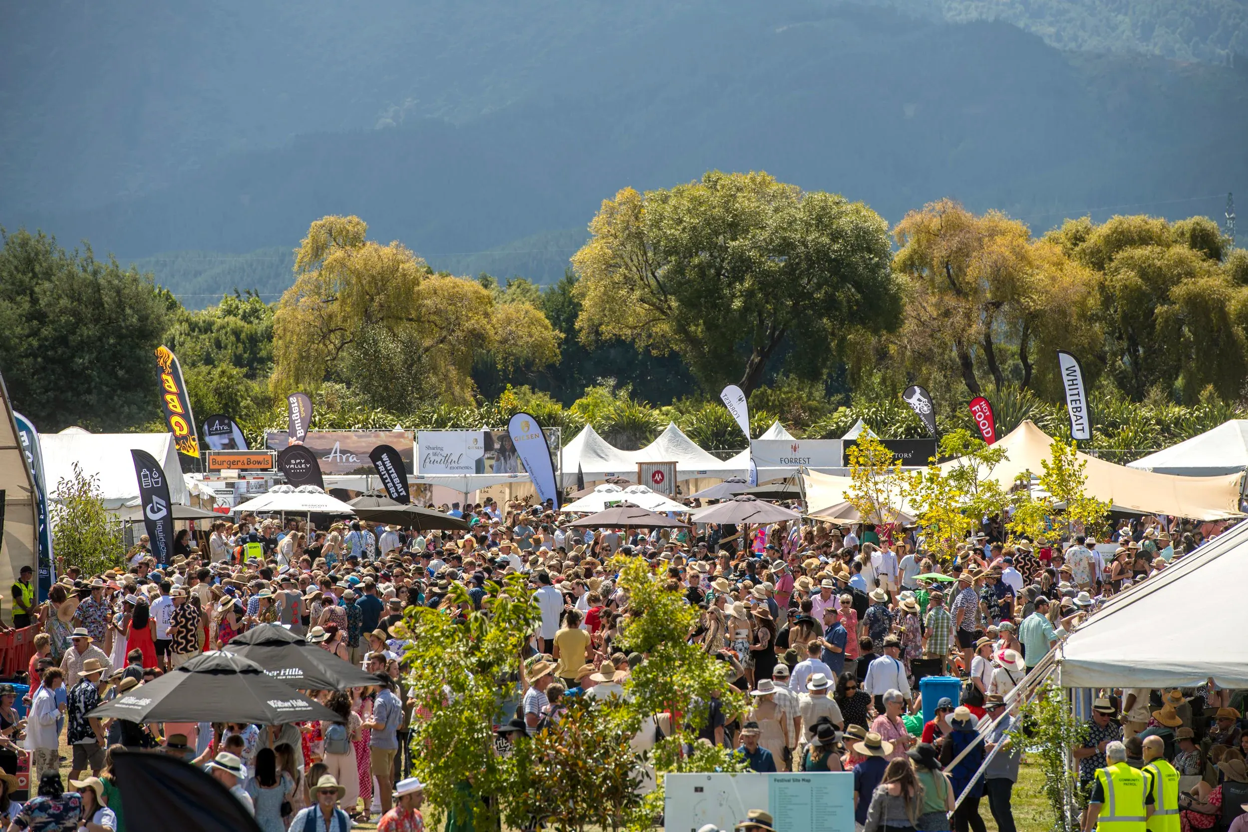 Marlborough Wine & Food Festival | 办了近40年突然喊停！享誉全球的重大节庆活动停办！